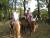 Orlane Fred Agathe et leurs poneys